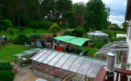 14. pohled z nového skleníku na zahradu