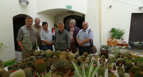 1 Výstava kaktusů 2015